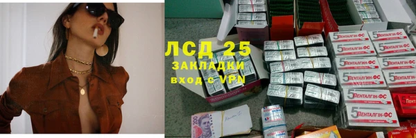 спайс Каменка