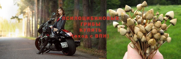 винт Каменногорск