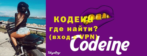 спайс Каменка