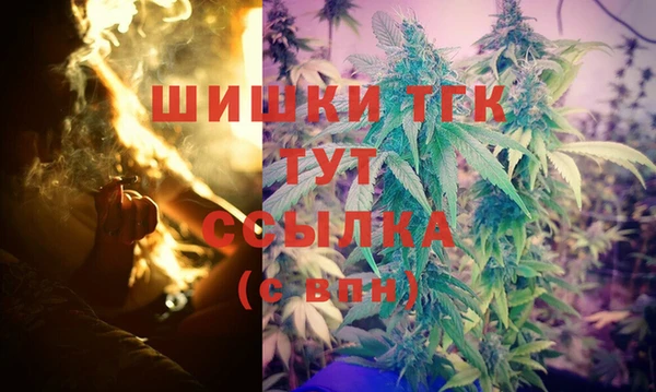 спайс Каменка