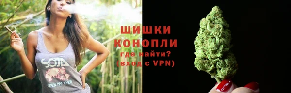 PSILOCYBIN Каменск-Шахтинский