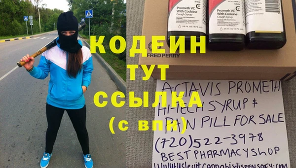 спайс Каменка