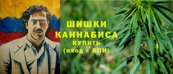 PSILOCYBIN Каменск-Шахтинский