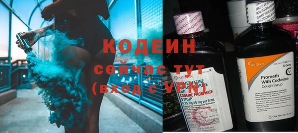 спайс Каменка